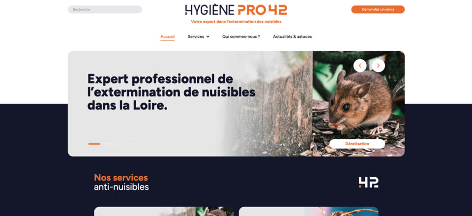 Hygiène pro 42 site internet