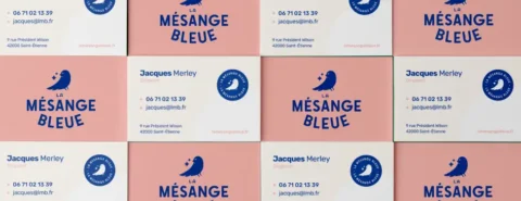 La Mésange Bleue - Déployer une présence digitale locale et un canal d'acquisition direct pour une entreprise de nettoyage