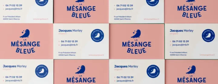 La Mésange Bleue - Déployer une présence digitale locale et un canal d'acquisition direct pour une entreprise de nettoyage