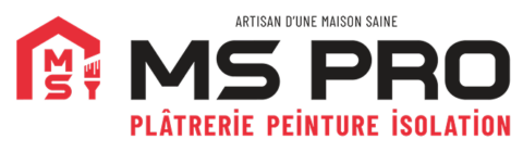 logo MS Pro