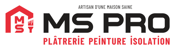 MS Pro