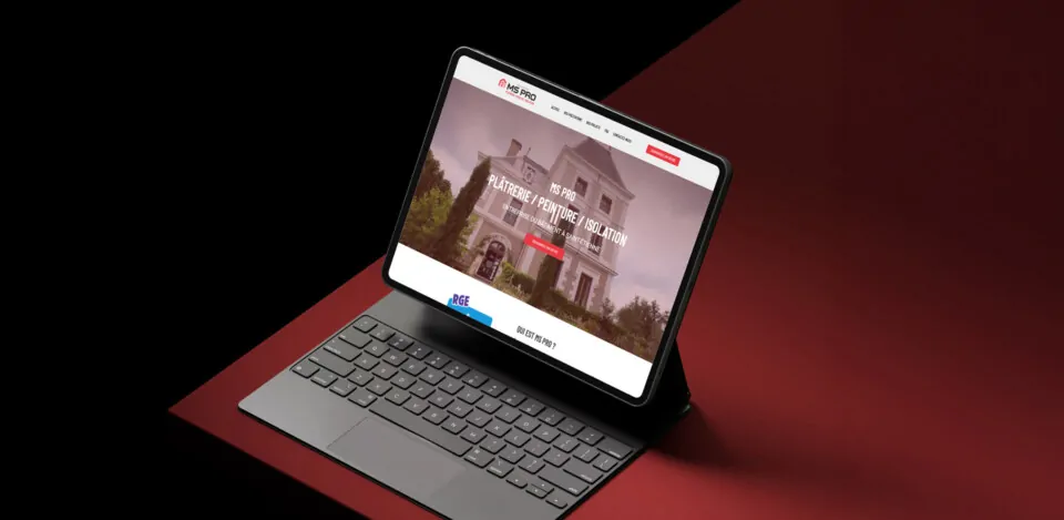 MS Pro