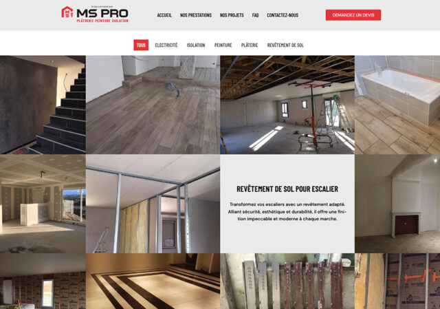 MS Pro site internet