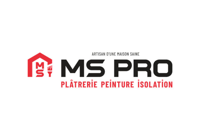 MS Pro site internet