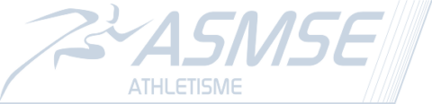 logo ASMSE