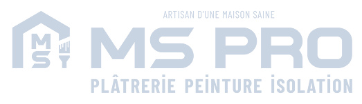 Logo MS Pro